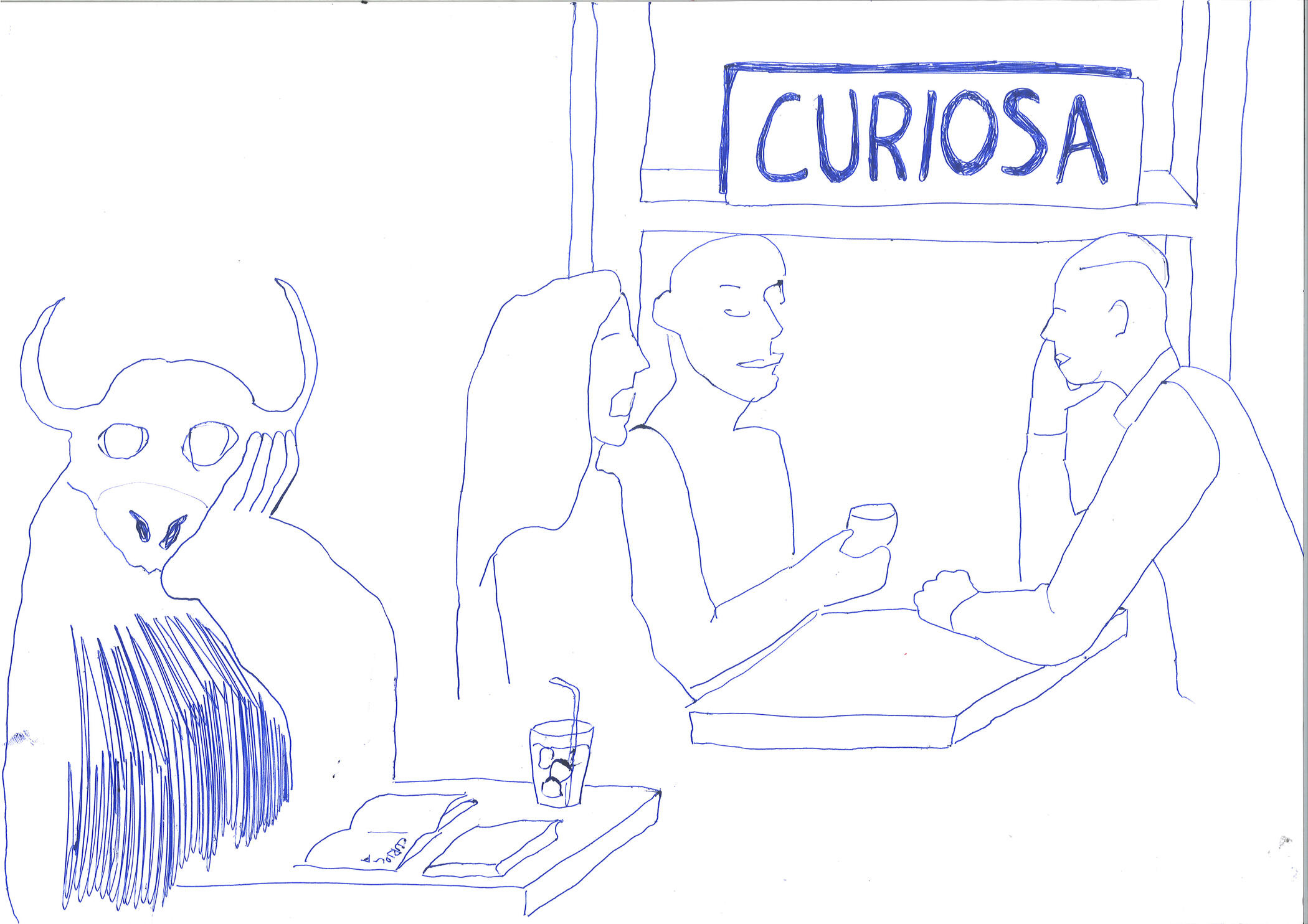 Curiosa